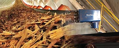 Czujnik wilgotności biomasy i innych odnawialnych źródeł energii