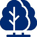 Produkty drzewne - wilgotność